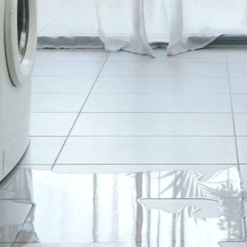 Appliance Leak Cleanup in Willmar, MN