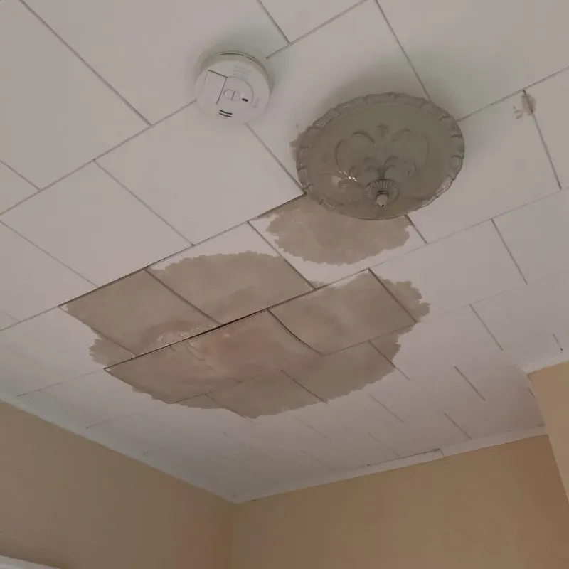 Ceiling Water Damage Repair in Willmar, MN