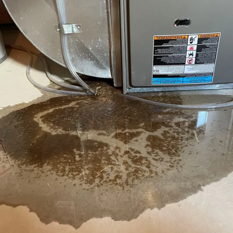 Pipe Burst and Leak Restoration in Willmar, MN